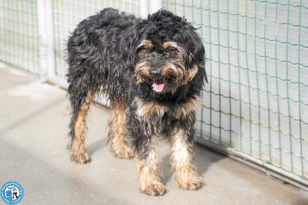 Teo: il riscatto di un piccolo guerriero Foto 6